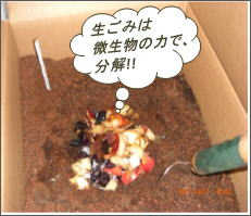 段ボールコンポスト